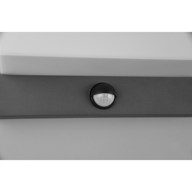 lampa NESTOS - CZUJNIK RUCHU 240969142 Trio | Sklep z lampami