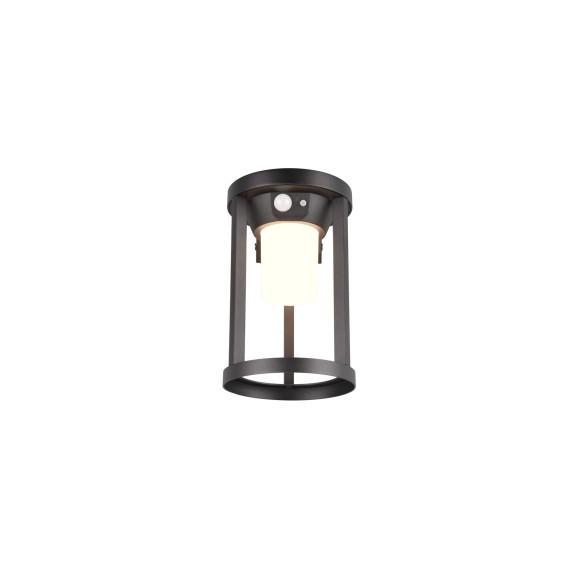 lampa CARMO 241069132 Trio | Sklep z lampami