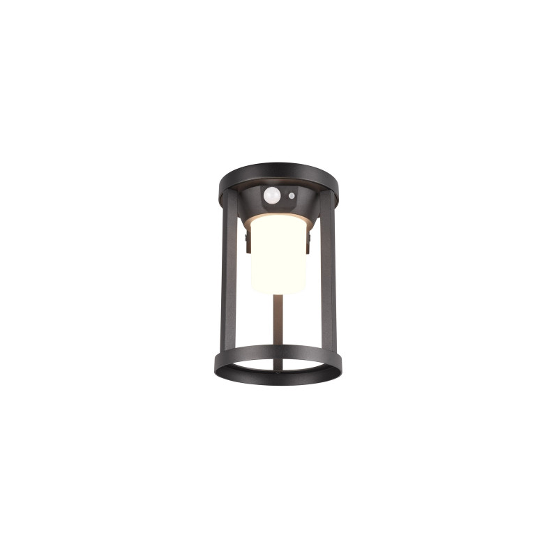lampa CARMO 241069132 Trio | Sklep z lampami