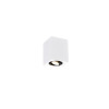 lampa BISCUIT 613000134 Trio | Sklep z lampami