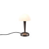 lampa stołowa CANARIA R59561120 RL | Sklep z lampami
