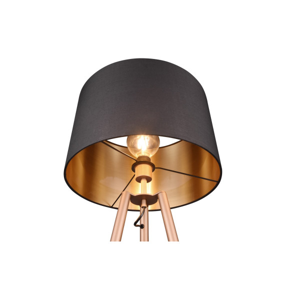 COLETTE R41561065 COLETTE R41561065