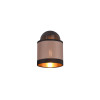 lampa sufitowa DAVOS R81551741 RL | Sklep z lampami lampa sufitowa DAVOS R81551741 RL | Sklep z lampami