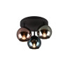 SHELDON R61303017