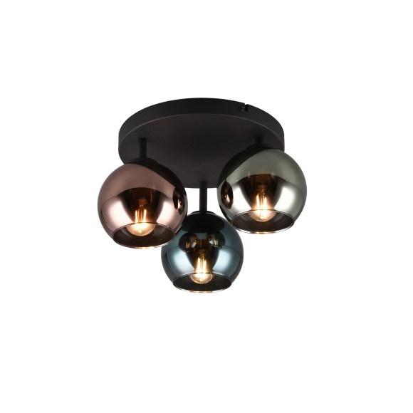 SHELDON R61303017