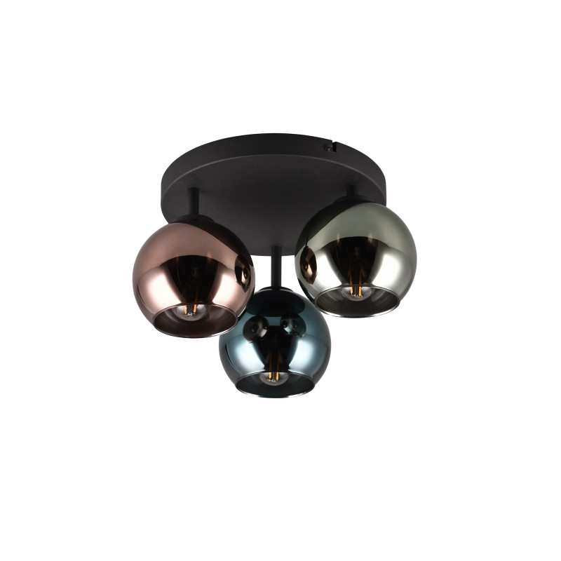 SHELDON R61303017