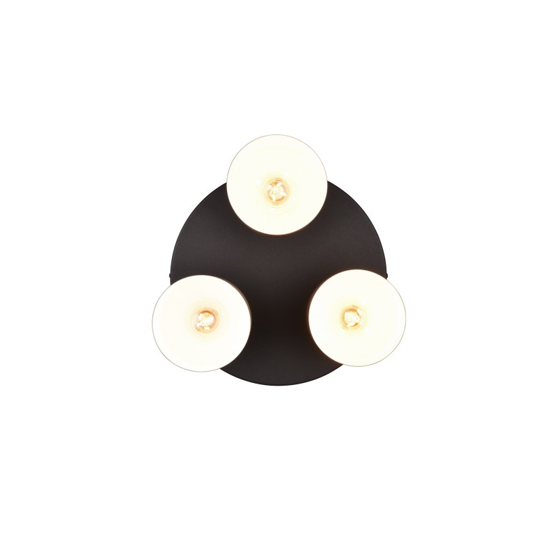 plafon AGUDO 619430317 Trio | Sklep z lampami