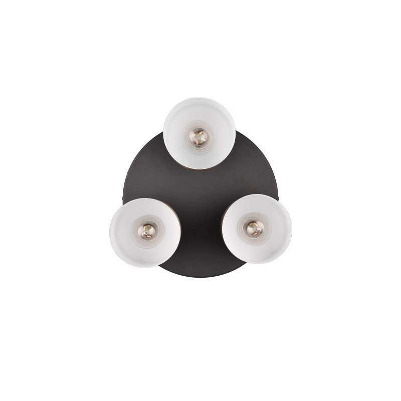 plafon AGUDO 619430317 Trio | Sklep z lampami