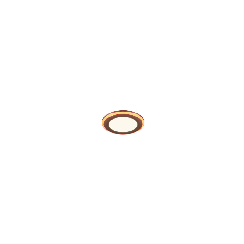 ARGUS 653610106