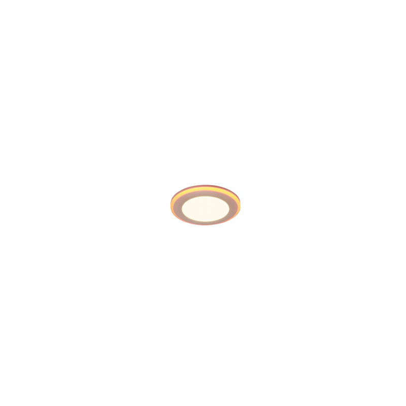 ARGUS 653610131