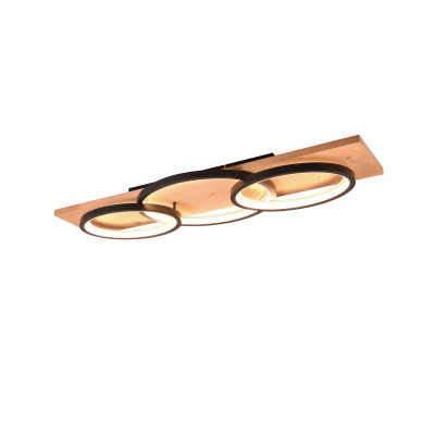 plafon BARCA 641110332 Trio | Sklep z lampami