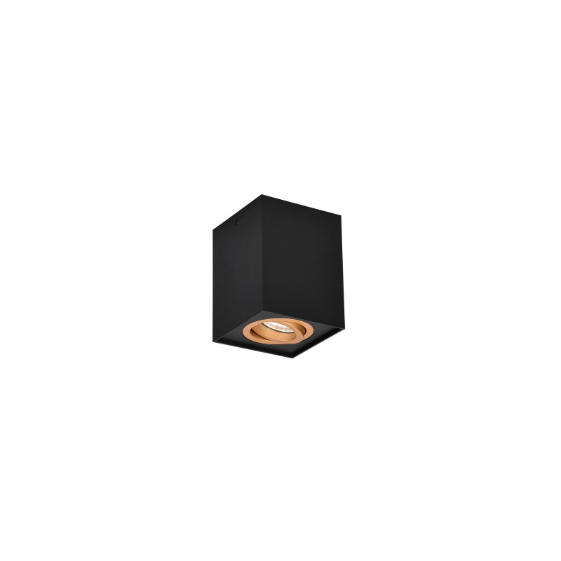 BISCUIT 613000180