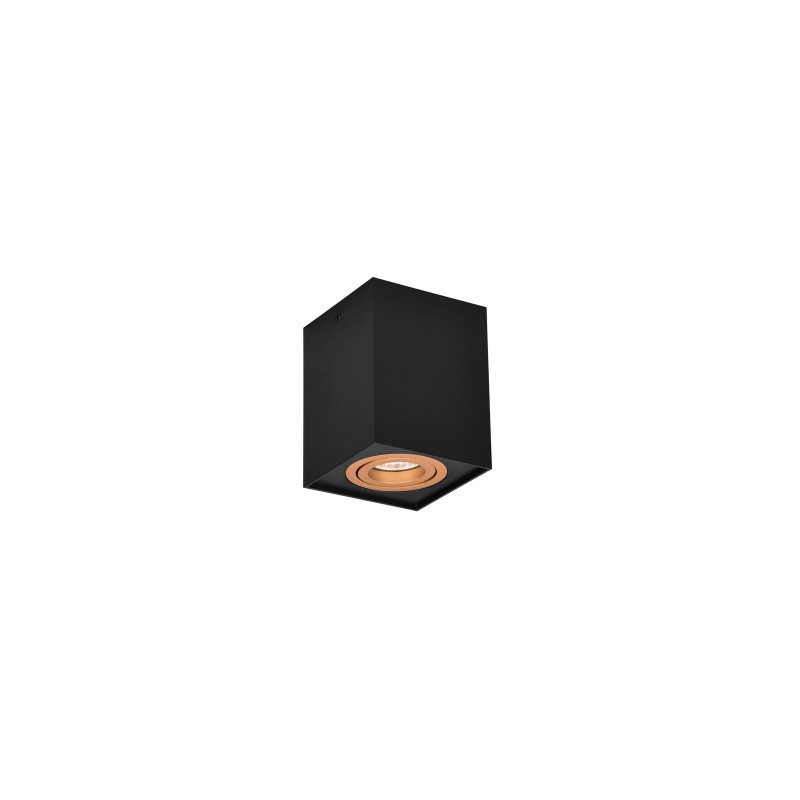 BISCUIT 613000180