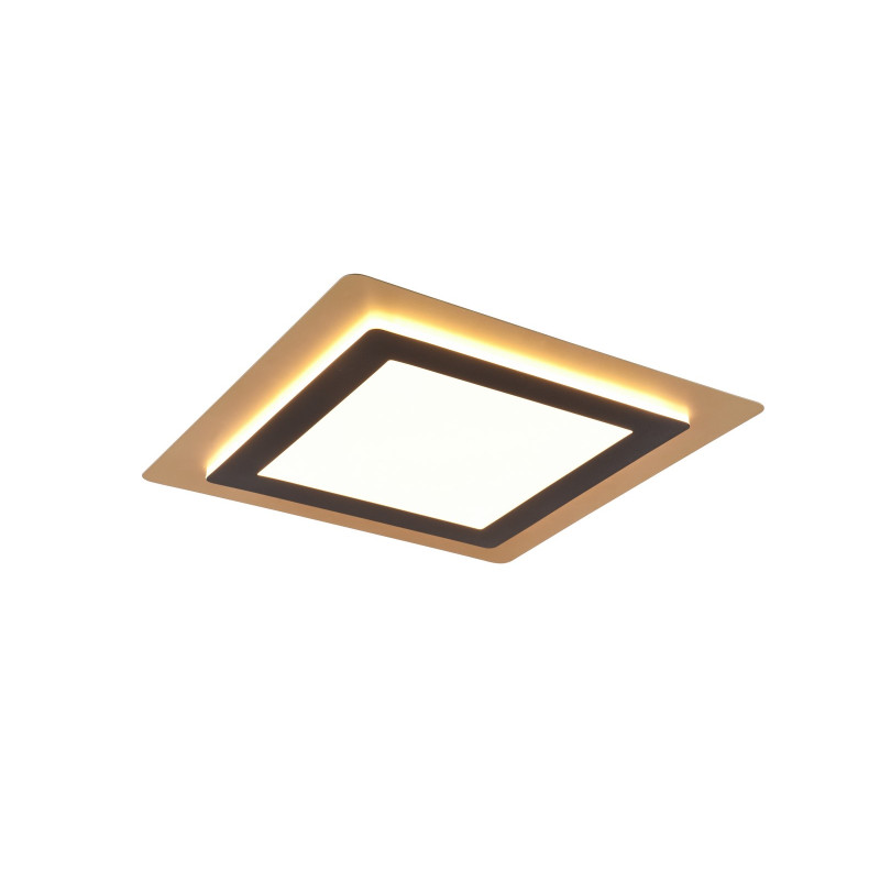 lampa sufitowa MORGAN 641510280 Trio | Sklep z lampami lampa sufitowa MORGAN 641510280 Trio | Sklep z lampami