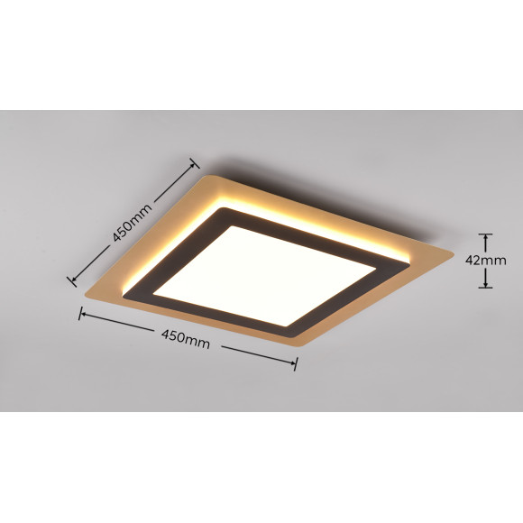 lampa sufitowa MORGAN 641510280 Trio | Sklep z lampami lampa sufitowa MORGAN 641510280 Trio | Sklep z lampami