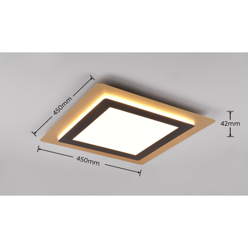 lampa sufitowa MORGAN 641510280 Trio | Sklep z lampami lampa sufitowa MORGAN 641510280 Trio | Sklep z lampami