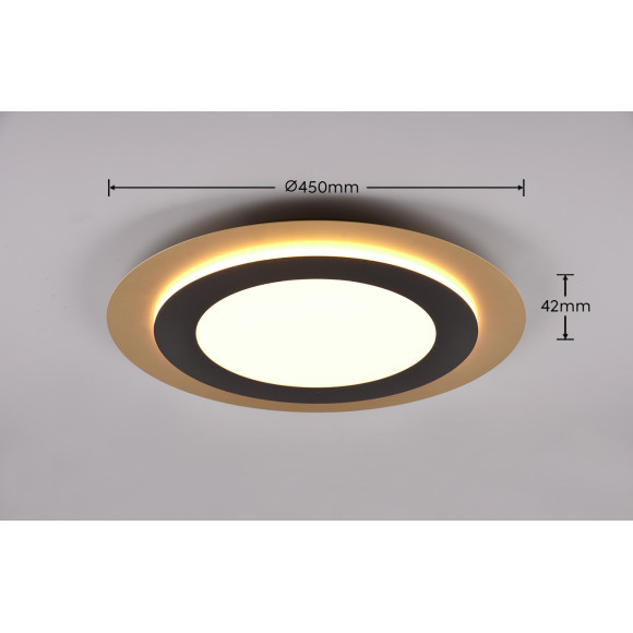 lampa sufitowa MORGAN 641519280 Trio | Sklep z lampami lampa sufitowa MORGAN 641519280 Trio | Sklep z lampami