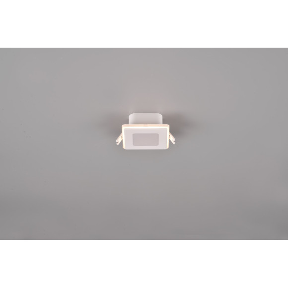 lampa NIMBUS 653410131 Trio | Sklep z lampami lampa NIMBUS 653410131 Trio | Sklep z lampami