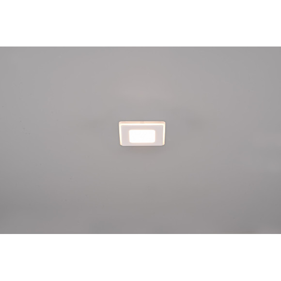 lampa NIMBUS 653410131 Trio | Sklep z lampami lampa NIMBUS 653410131 Trio | Sklep z lampami