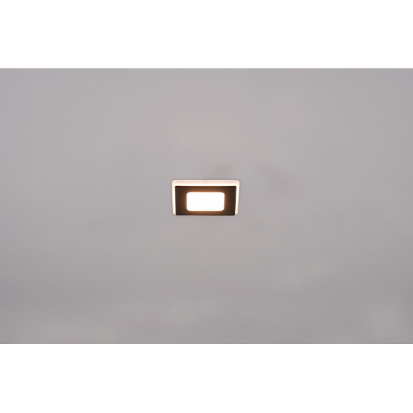 lampa NIMBUS 653410132 Trio | Sklep z lampami lampa NIMBUS 653410132 Trio | Sklep z lampami