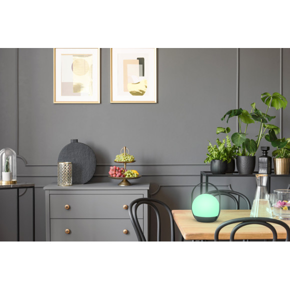 lampa CARDI 6501702330 nan | Sklep z lampami lampa CARDI 6501702330 nan | Sklep z lampami