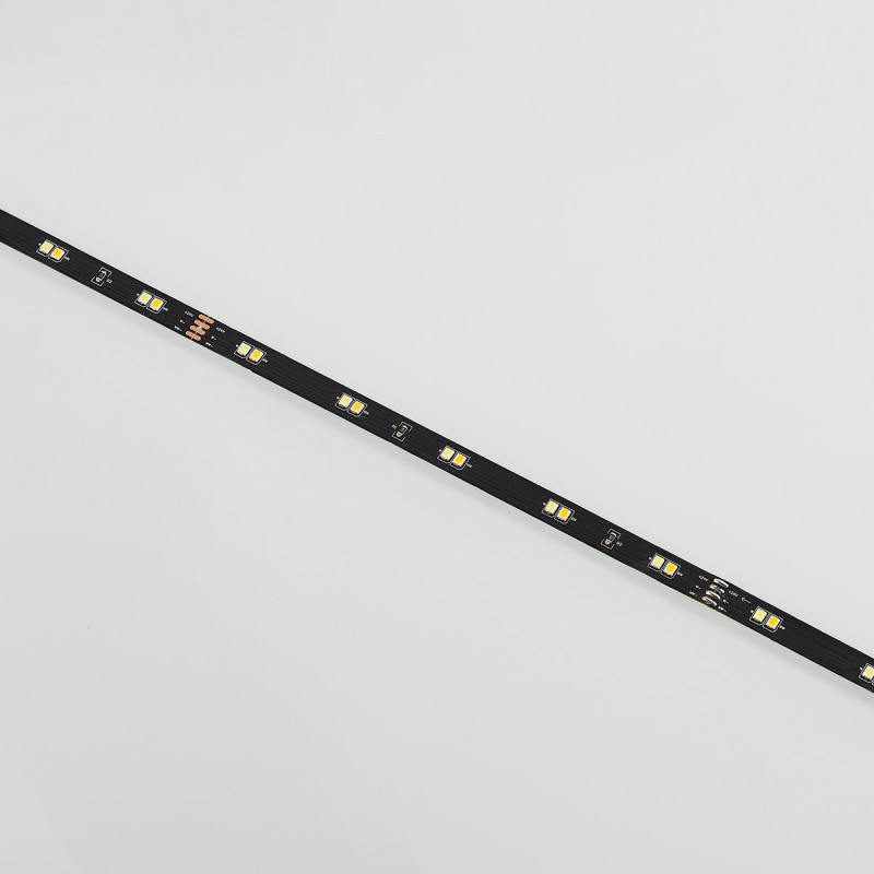 lampa CHIP R65565102 RL | Sklep z lampami