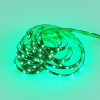 RUSH R65575102