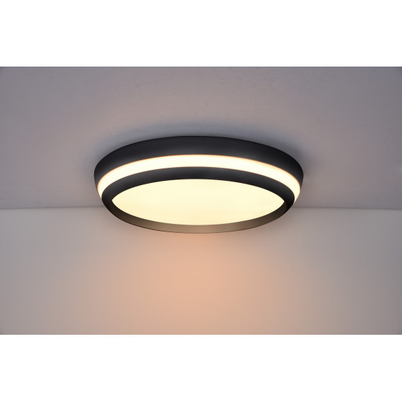 lampa sufitowa CEPA 8402901012 nan | Sklep z lampami lampa sufitowa CEPA 8402901012 nan | Sklep z lampami