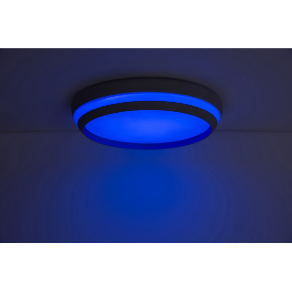 lampa sufitowa CEPA 8402901012 nan | Sklep z lampami lampa sufitowa CEPA 8402901012 nan | Sklep z lampami