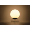 GLOBE 8500403012 GLOBE 8500403012
