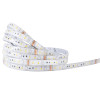 LINEA 8101006331 LINEA 8101006331