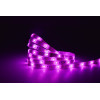 LINEA 8101006331 LINEA 8101006331