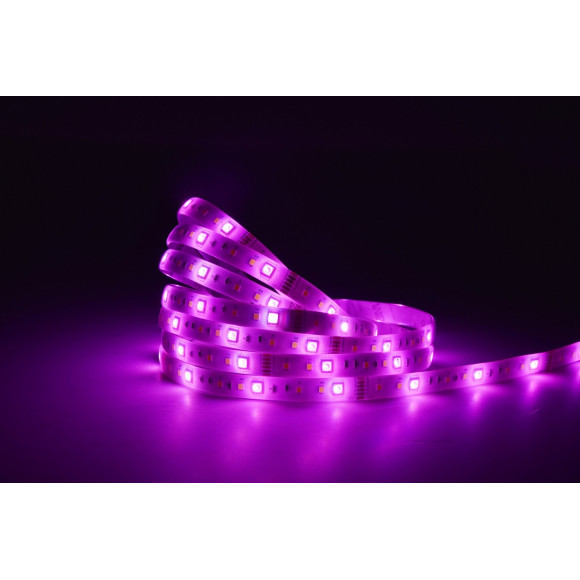 lampa LINEA 8101006331 nan | Sklep z lampami