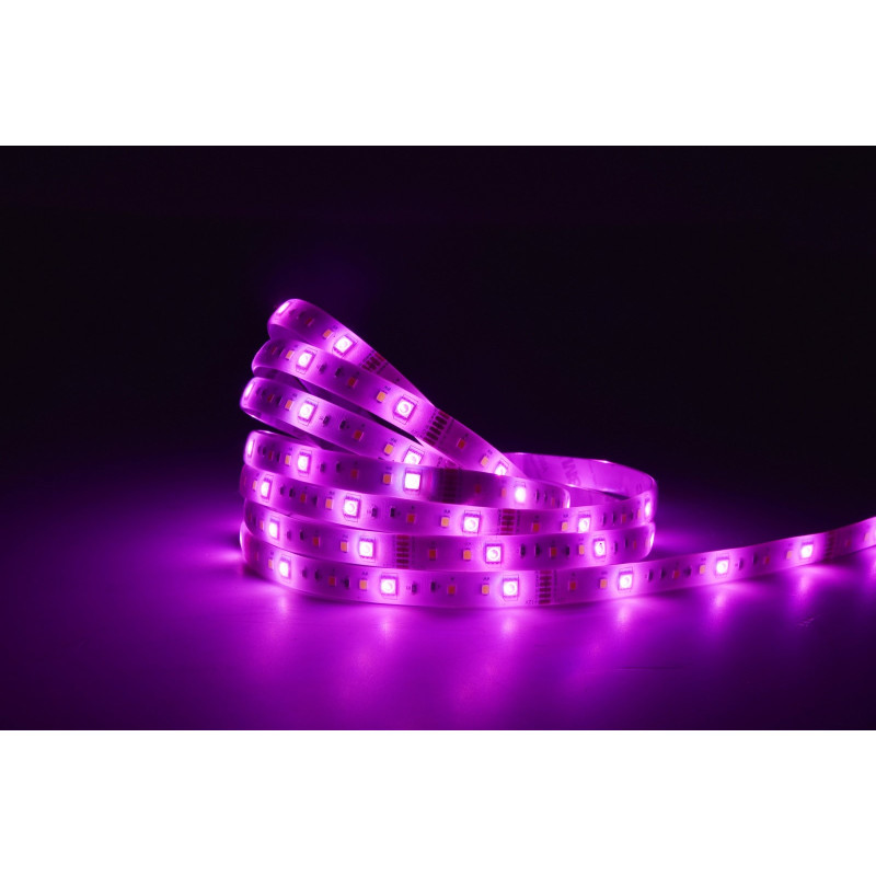 lampa LINEA 8101006331 nan | Sklep z lampami