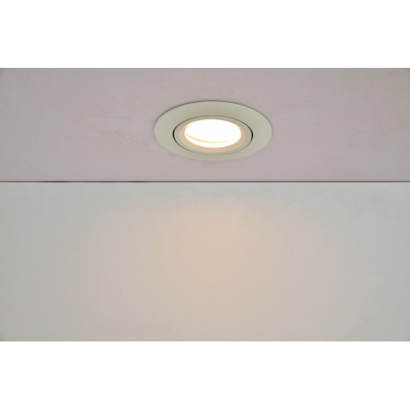 SCOP 8304601446