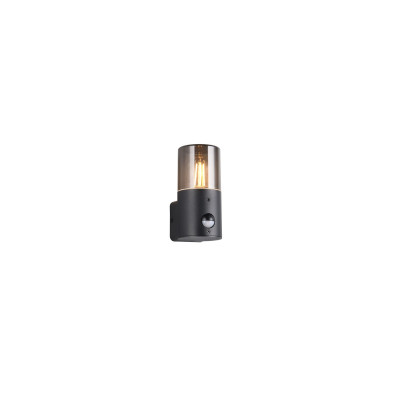 HOOSIC - CZUJNIK RUCHU 222260132