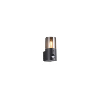 HOOSIC - CZUJNIK RUCHU 222260132