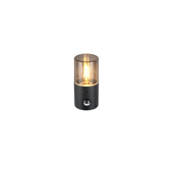 lampa HOOSIC - CZUJNIK RUCHU 222260132 Trio | Sklep z lampami