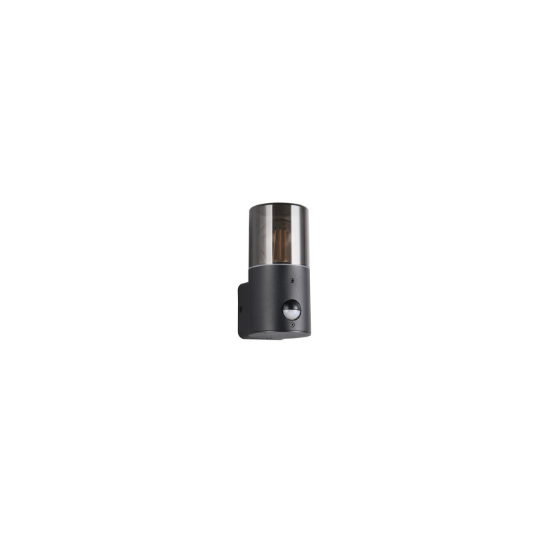 HOOSIC - CZUJNIK RUCHU 222260132