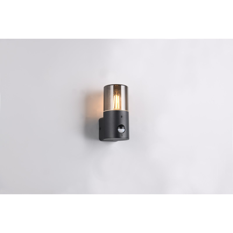 lampa HOOSIC - CZUJNIK RUCHU 222260132 Trio | Sklep z lampami