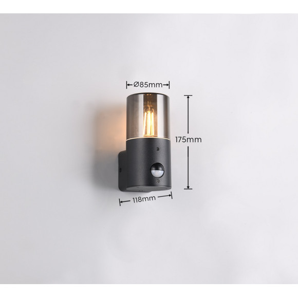 lampa HOOSIC - CZUJNIK RUCHU 222260132 Trio | Sklep z lampami