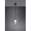 lampa wisząca TOSH 304300134 Trio | Sklep z lampami