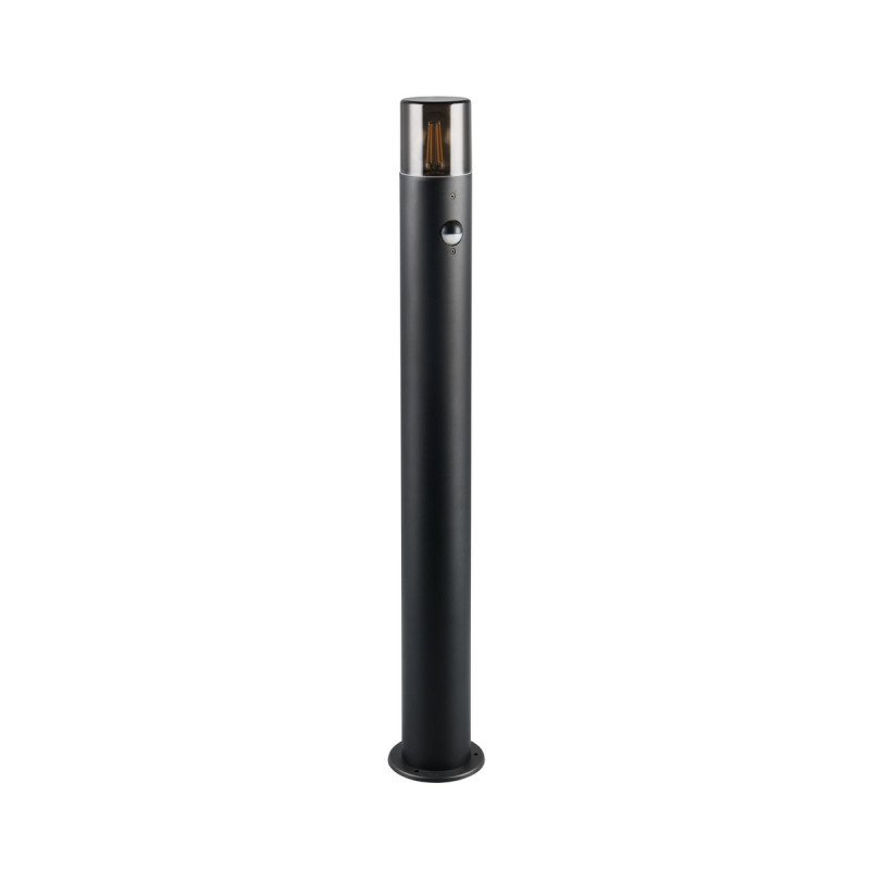 HOOSIC - CZUJNIK RUCHU 422260132