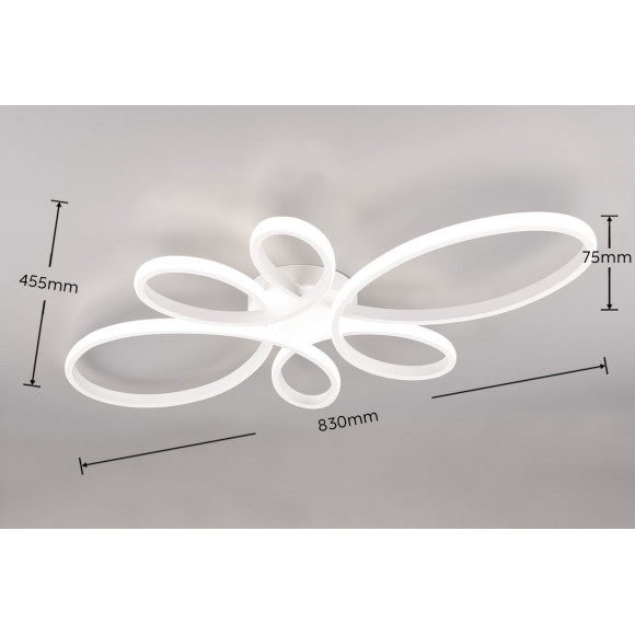 lampa sufitowa FLY 645619131 Trio | Sklep z lampami lampa sufitowa FLY 645619131 Trio | Sklep z lampami