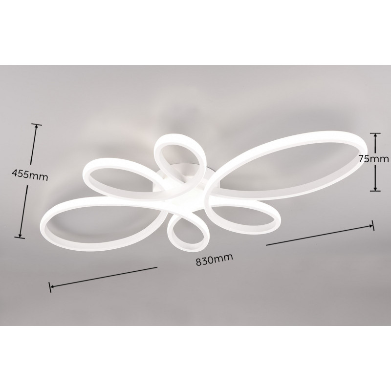 FLY 645619131