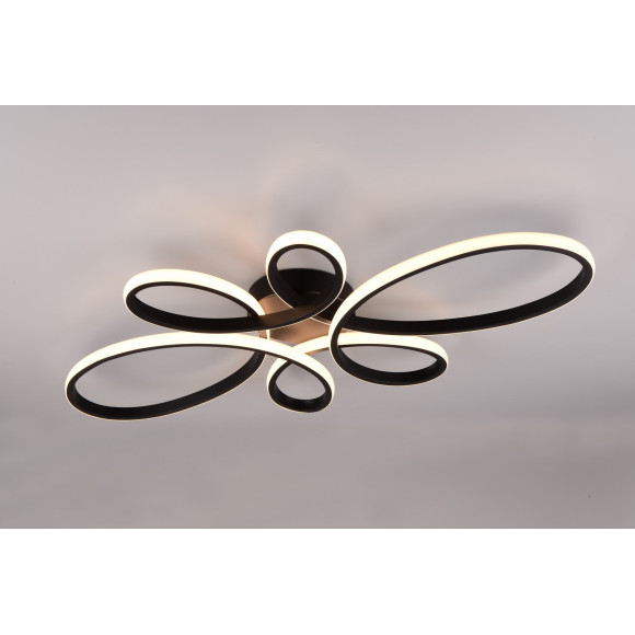 FLY 645619132