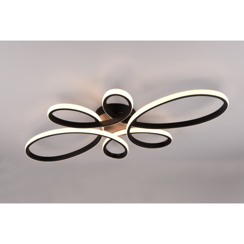 FLY 645619132