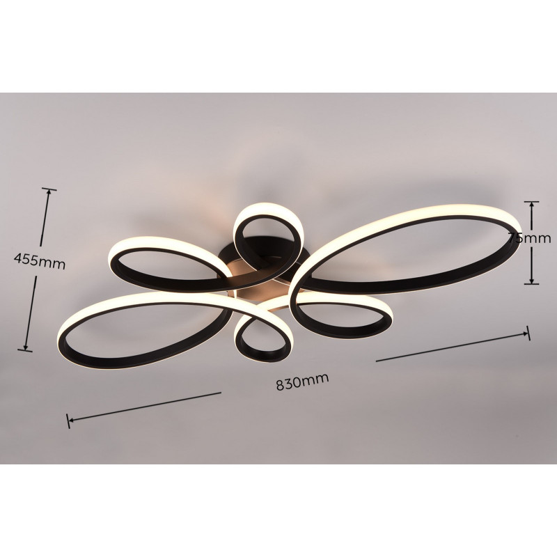 FLY 645619132