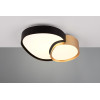 lampa sufitowa RISE 647510280 Trio | Sklep z lampami