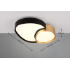 lampa sufitowa RISE 647510280 Trio | Sklep z lampami